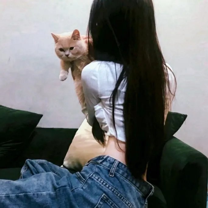 梦墙