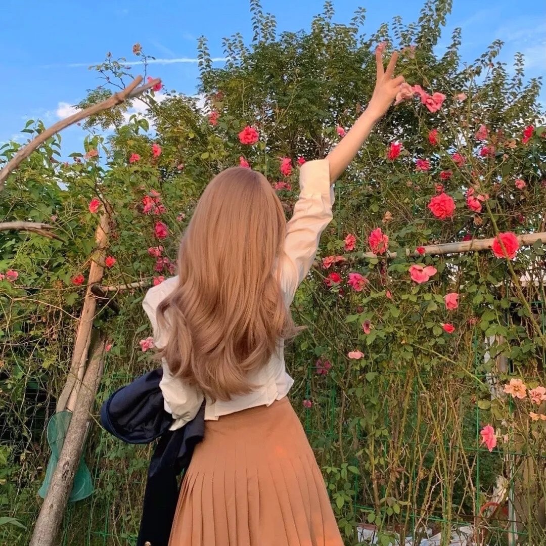 好莱坞高中